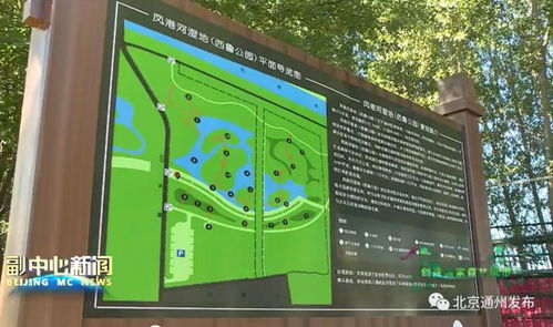 家门口的湿地公园来啦 通州这个地新添一个大公园 总面积3700多亩