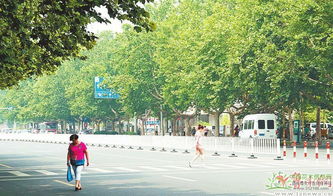 淄博完成120余项园林绿化工程